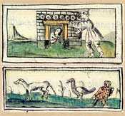 Pic 14: ‘The possessed one’ (top), ‘One who turns himself into a dog, etc.’; Florentine Codex Book X