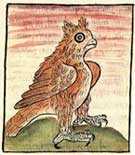 Pic 18: The horned owl as omen of death, Florentine Codex Book V