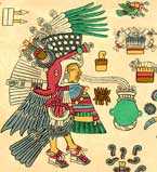 Pic 19: Chalchiuhtotallin (precious turkey), the theophanic form of Tezcatlipoca. Codex Borbonicus, p. 17