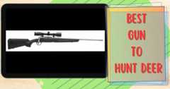 best-gun-to-hunt-deer