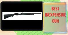 best-inexpensive-gun
