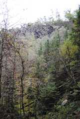 07162010017272026157589.jpg