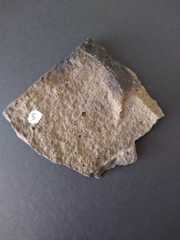 03612120017271952589567.jpg