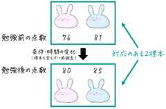 うさぎでもわかる確率・統計 t分布のいろは③ 対応のある2標本の母平均検定