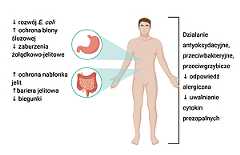 Figure from article: Health-promoting potential...