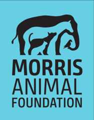 Home Morris Animal Foundation logo light blue