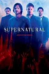 Serie Cover