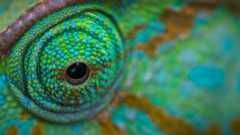 openSUSE: diferentes tonos de verde... y un poco de crítica a la autocrítica