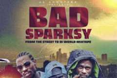Bad Sparksy From the Streets To Di World Mixtape by DJ Manni