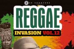 DJ Manni Reggae Invasion Vol 12