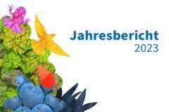 Jahresbericht 2023