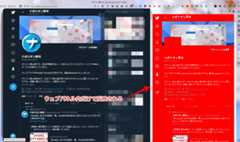 ウェブパネルのTwitterだけにCSSを適用した画像