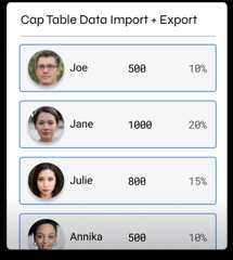 Cap table with team members Joe, Jane, Julie, and Annika showcasing their respective share distributions