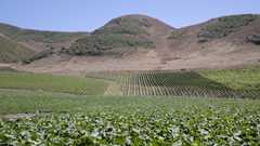 Regenerative farming