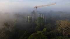 Aerial view of a crane in the middle of a round structures which is part of the AmazonFACE experiment in the Amazon.