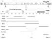 Figure 2. . Panel a: Schematic representation of the MEN1 gene.