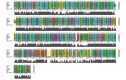Figure 5. . Menin is highly conserved.