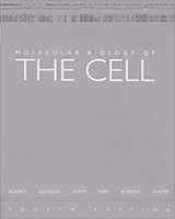 Cover of Molecular Biology of the Cell