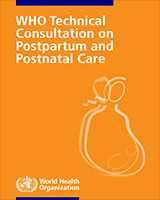 Cover of WHO Technical Consultation on Postpartum and Postnatal Care