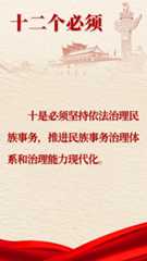 中央民族工作会议会议精神图解