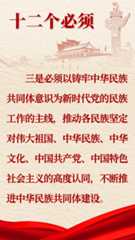 中央民族工作会议会议精神图解