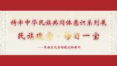 民族瑰宝·每日一宝——铸牢中华民族共...
