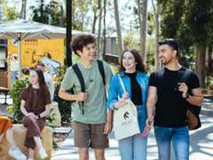 Open Days 2025