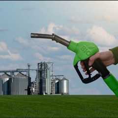 Is bioenergy ever truly green?