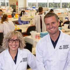MHF Centre backs big ideas to beat brain cancer