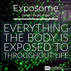 Exposome definition