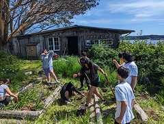 group of youth exploring vegitation