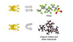 Molecules of PFAS