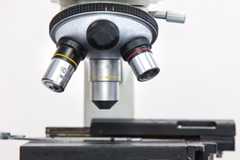 microscope