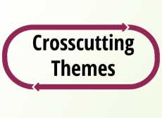 Crosscutting Themes