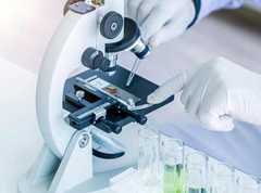 using a microscope to inspect specimen on a petri dish