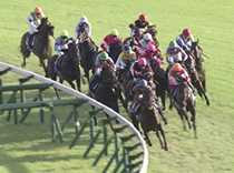 データをそろえて自分で分析したい！