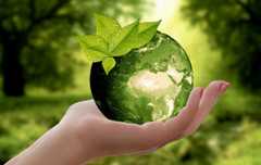 EUDRおよびCSDDDを中心とした欧州を取り巻くサステナビリティ関連法規制の要点と企業に求められる対応