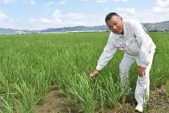 PM2・5、野焼きも影響か 中国の濃度は低下傾向 条例で禁止す...