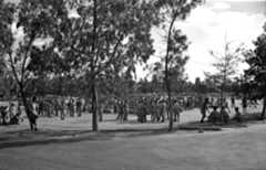 הגדוד ה-5 פלמ"ח הראל בטקס ההשבעה לצה"ל במחנה סרפנד 1948