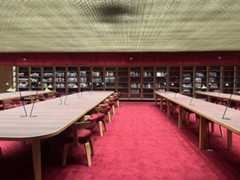 צילום: עופרית אסף־אריה