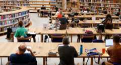 צילום: אורי ברקת