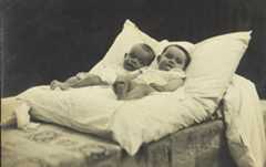 גלריית About Sasha Argov תמונה 2