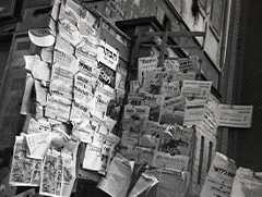 About the Collection