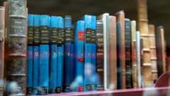 צילום: אביעד ויצמן