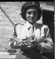 חיילת מיחידת היונאים