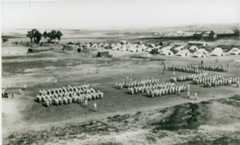 חטיבת גבעתי