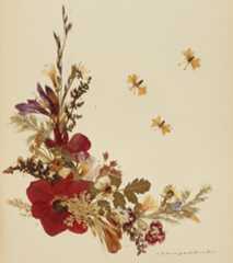 The Collection of Pressed Flowers and Souvenirs from Palestine, 1890-1920