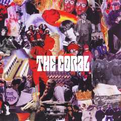 The Coral, 'The Coral'