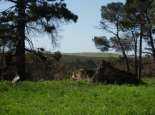 Noongar booja (country), Mogumber. Courtesy SWALSC