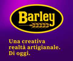 Barley birra